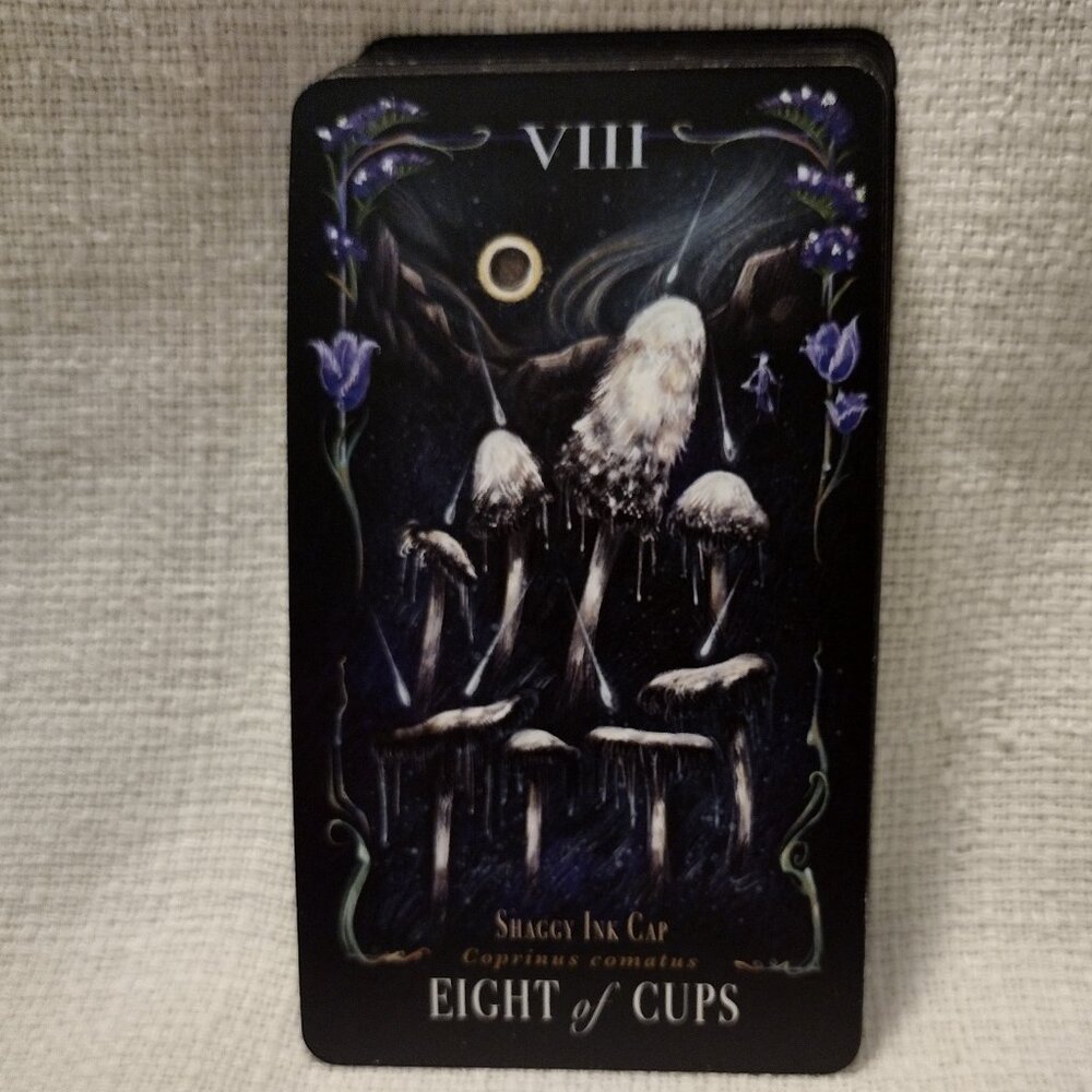 Midnight Magic - Picture 10 of 14